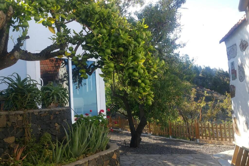 "Villa Servanda " - Relax, Nature, Wide Views Of The Sea And A Starry Sky Puntagorda  Exterior photo