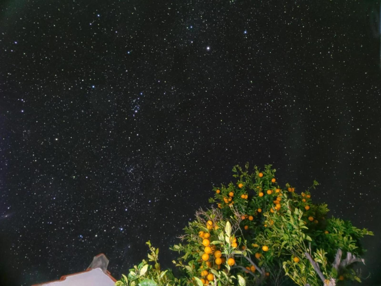 "Villa Servanda " - Relax, Nature, Wide Views Of The Sea And A Starry Sky Puntagorda  Exterior photo